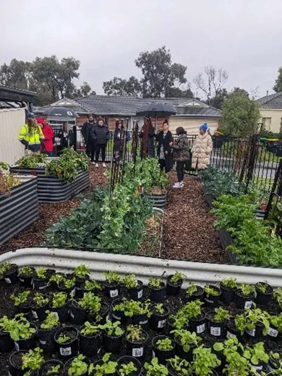 community garden 2